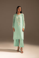 2 Piece Chiffon Embroidered Suit (FS0067)